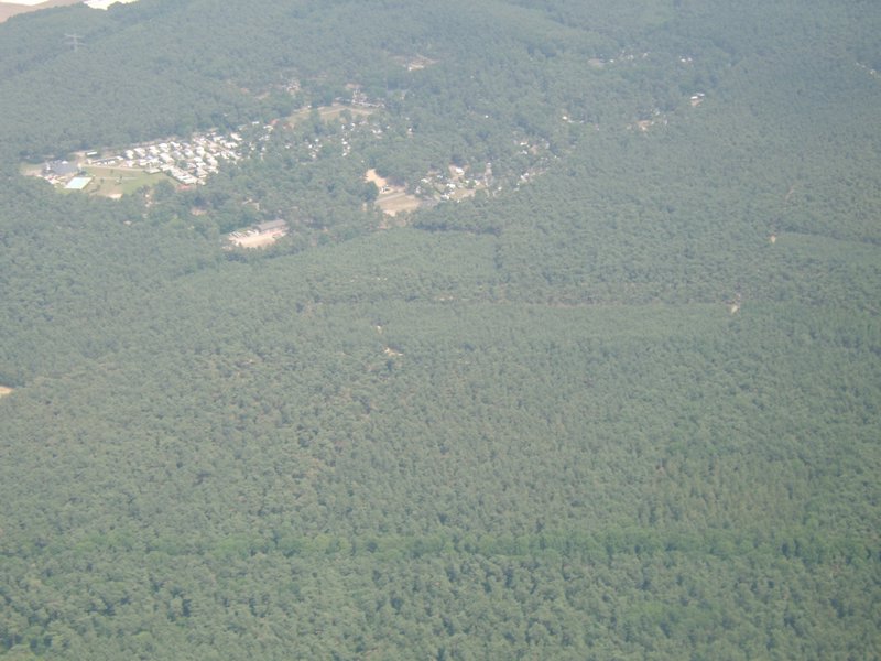 072 Heldense bossen.JPG